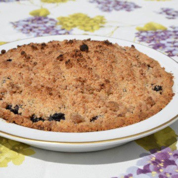 Blueberry Crumble Pie