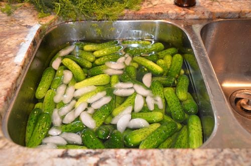 Washing cucumbers in the sink