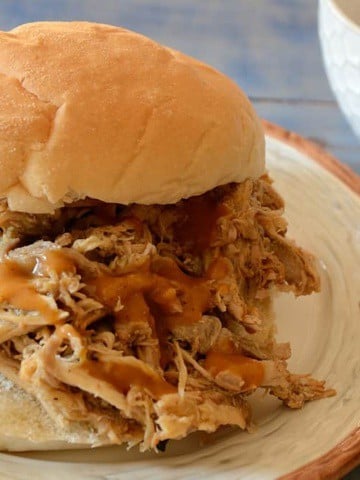 Pulled Pork on a bun.