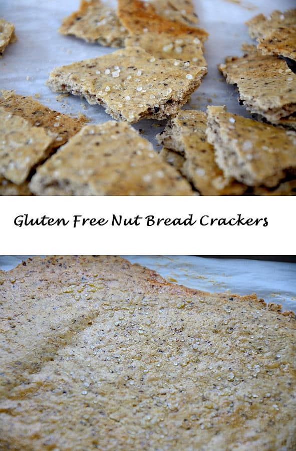 Gluten Free Nut Bread Crackers