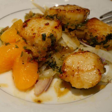 Scallops on plate with cream sauce.