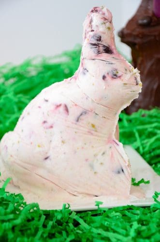 Black Cherry Frozen yogurt in a 3 D Easter bunny shape sitting in Easter grass.