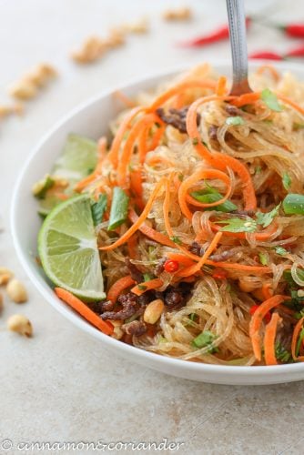 Picnic Thai Glass Noodle Salad