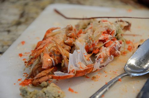 Lobster carcass, meat removed