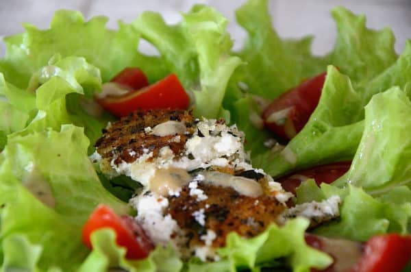 Crispy goat cheese rounds on bed of lettuce with tomato