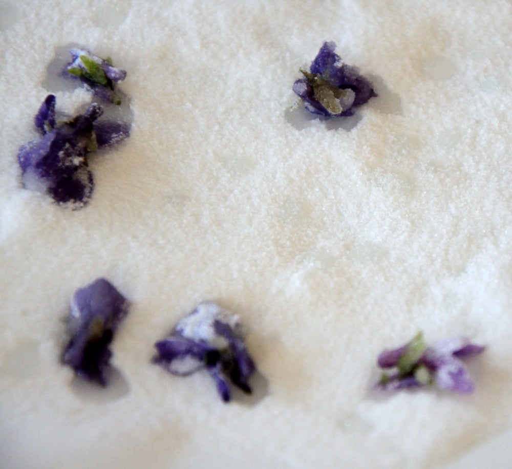 close up of candied violets on a tray of sugar
