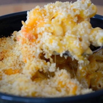 Casserole with cavatappi pasta in a cheesy sauce with panko bread crumb topping.