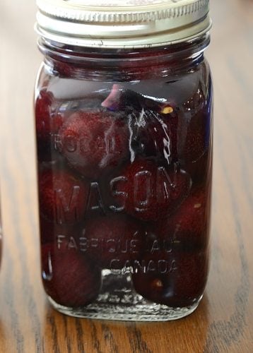 Mason Jar of Bing Cherries in Vodka syrup