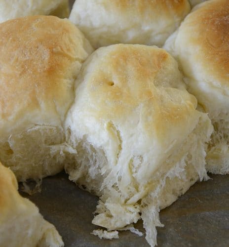 Close up of soft, fluffy sweetened condensed milk dinner rolls.