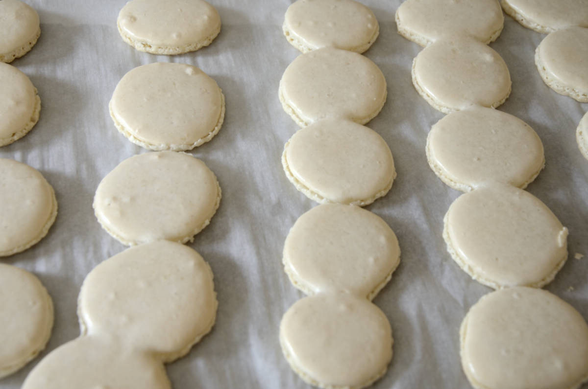 Baked almond macarons on baking sheet.