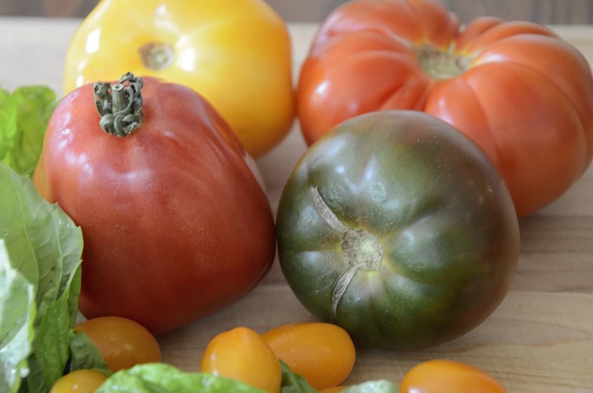 Close up of Red, brown and yellow heirloom tomatoes.