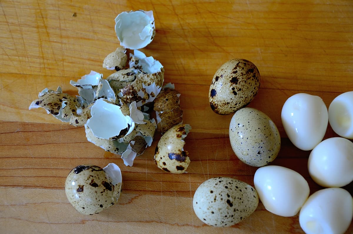 Quail eggs on a work surface with some broken shells showing pale blue interior.