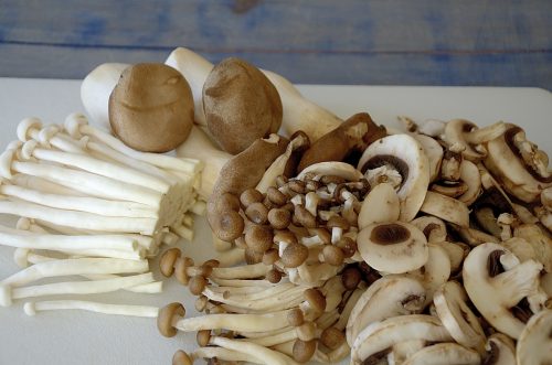 Mixture of fresh King Oyster mushrooms, cremini, Seafood mushrooms and Brown Beech mushrooms.