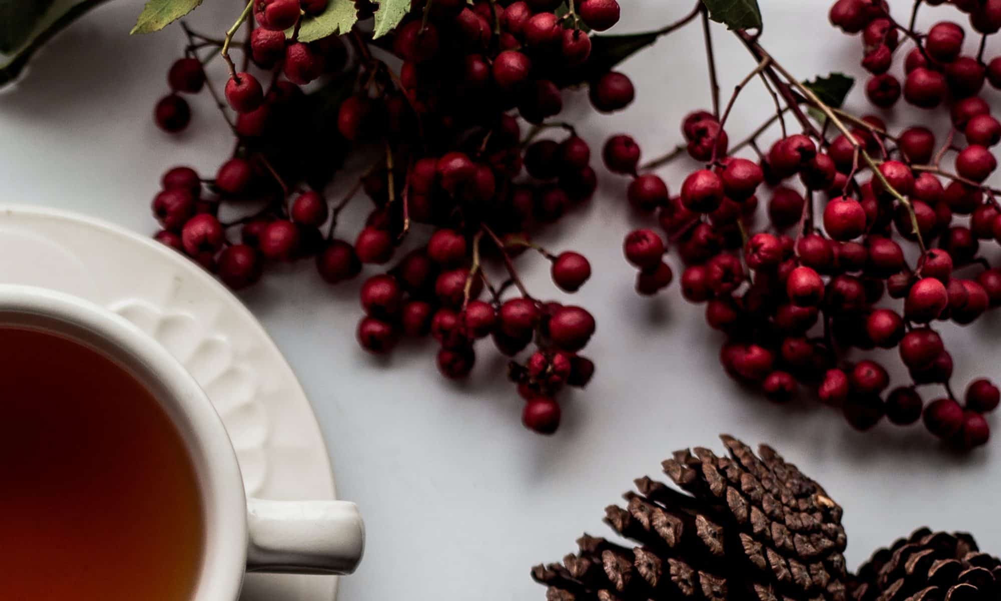 Christmas berries and cones on a white table cloth with a cup of tea in the corner.