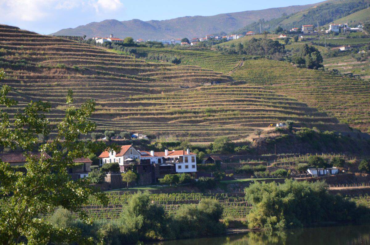 Terraced vineyards along the banks of the Douro River with a large house in the foreground.