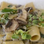 One Pot Pasta with Mushroom White Wine Sauce - The Wine Lover's Kitchen