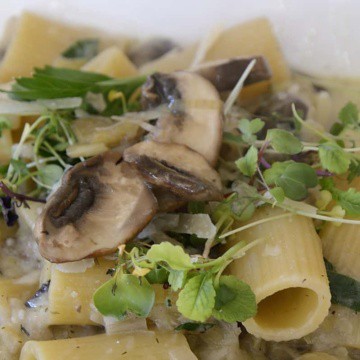 Close up of Rigatone pasta cooked in mushroom white wine sauce garnished with grated Parmesan and microgreens.