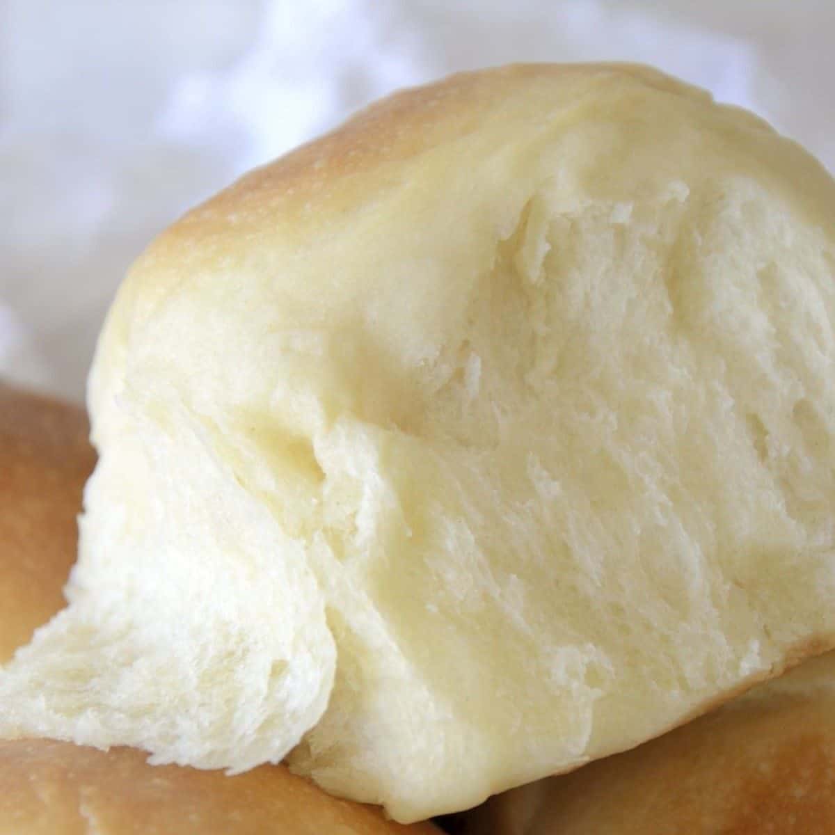 Bread Machine Sweetened Condensed Milk Dinner Rolls The Wine Lover's