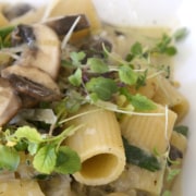 Tubular pasta with mushroom sauce.